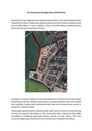 NEWSLETTER FROM REDROW HOMES